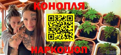 гашик Владивосток