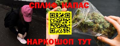 крисы Брянск
