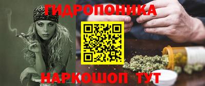 крисы Брянск