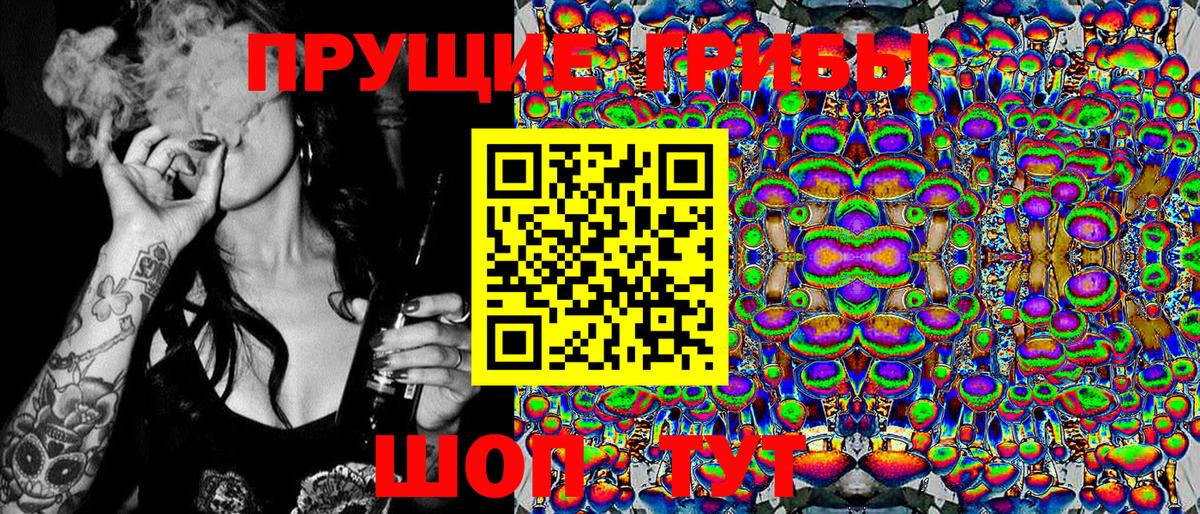 купить наркотики цена  Псилоцибиновые грибы Cubensis  Псилоцибиновые грибы Psilocybe  Вход с VPN  Касимов 